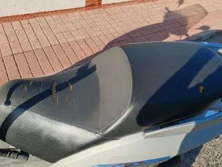 Peugeot Geopolis 300cc, Scooter.