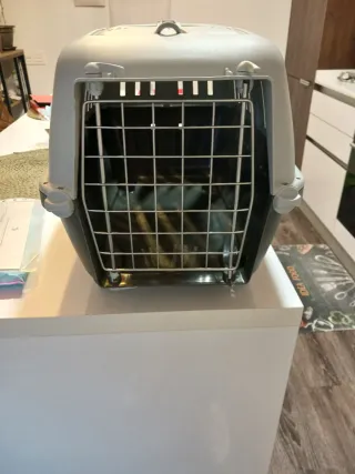 Transportín para mascotas