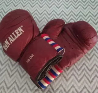 Guantes de Boxeo Van Allen 12 oz