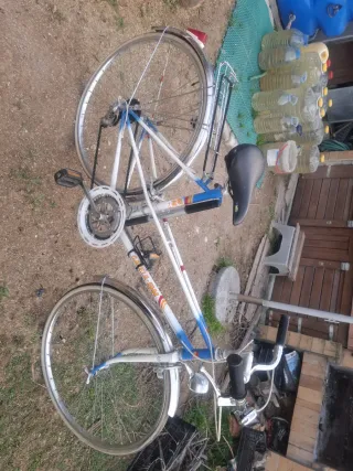 Bicicleta Mujer Gazelle Vintage