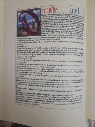 EL LIBRO ROJO, de Gustav Jung. En perfecto estado.