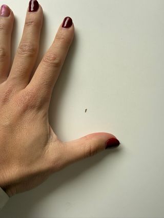 Mesa y 6 Sillas Comedor