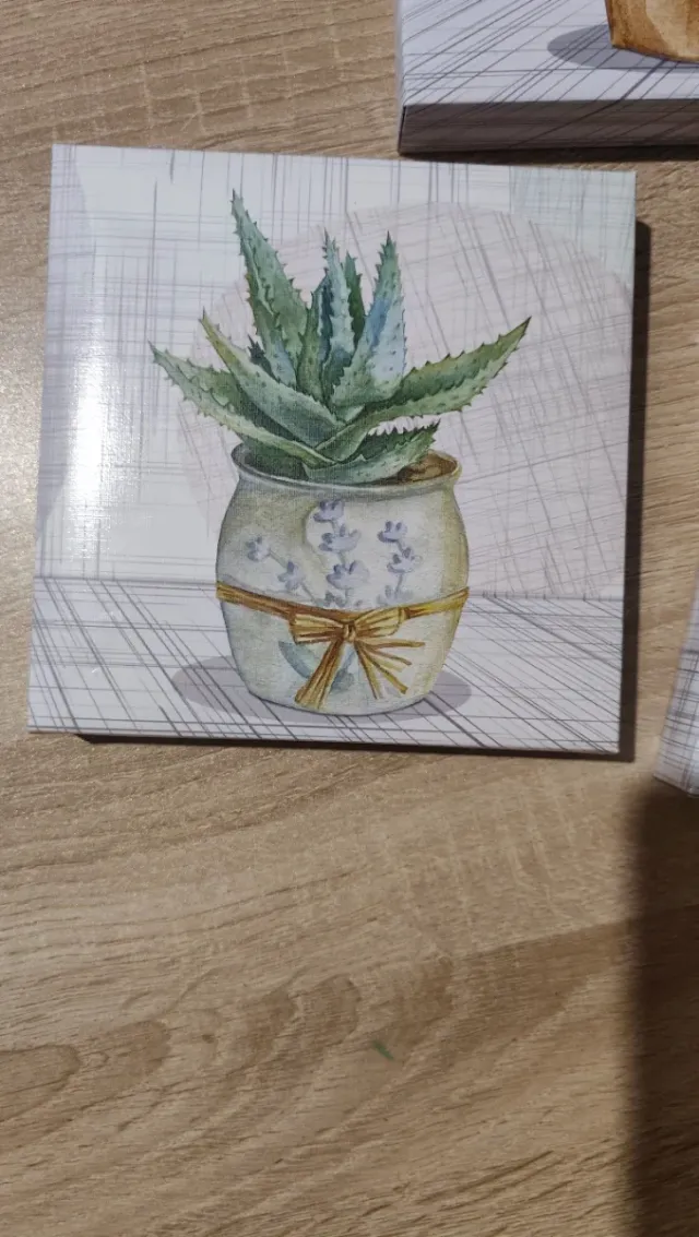 Set 3 Quadretti Tela Cactus