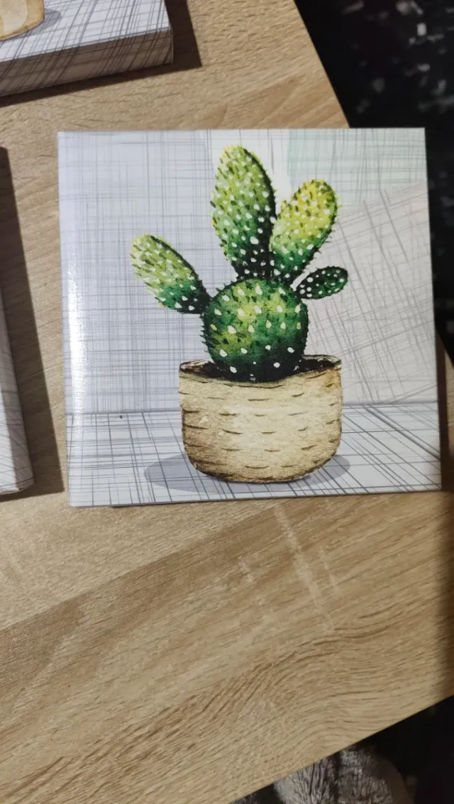 Set 3 Quadretti Tela Cactus