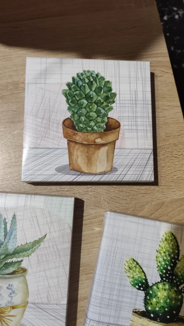 Set 3 Quadretti Tela Cactus