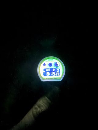 Casio G-Shock DW-6900HD - 8ER