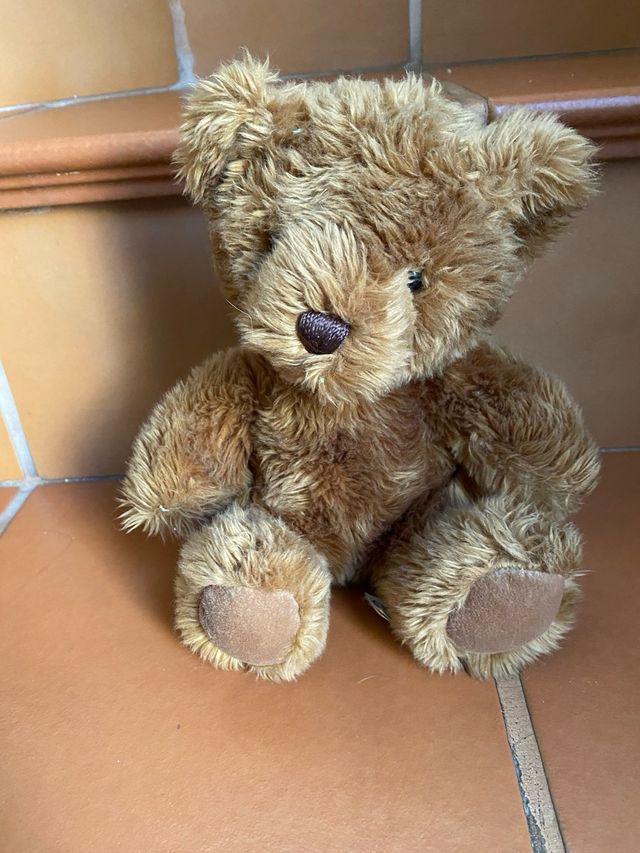 Cucciolo di orso peluche Bukowski e Fairytealebears