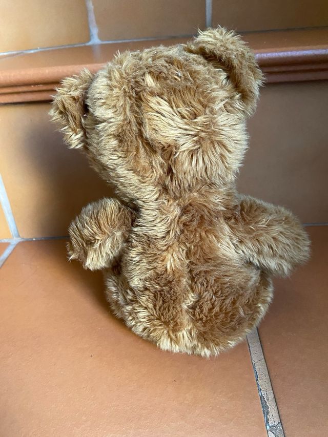 Cucciolo di orso peluche Bukowski e Fairytealebears