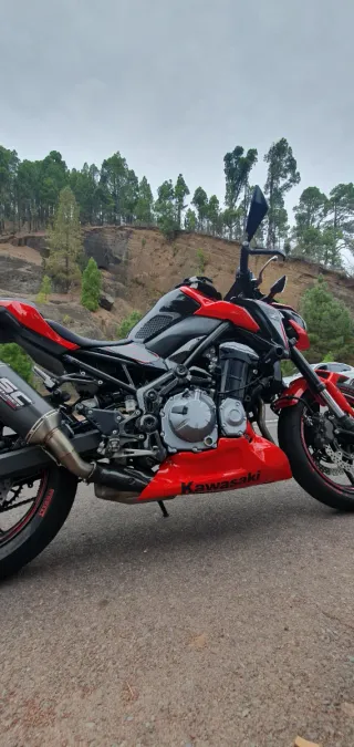 Kawasaki Z900 2019 A2