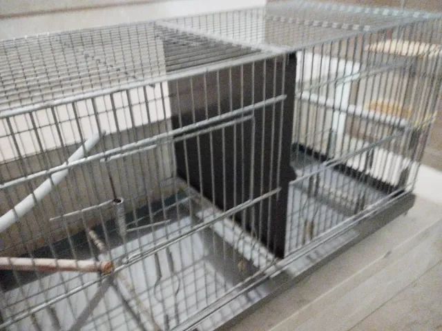 Jaula para pájaros plateada y transparente