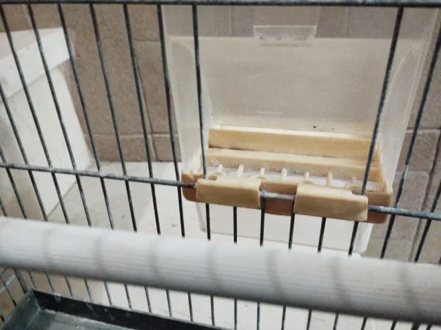 Jaula para pájaros plateada y transparente