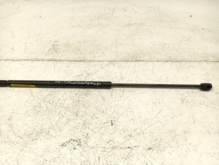 AMORTIGUADORES CAPO MINI MINI (R50,R53) W10B16A 0