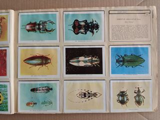 Álbum de cromos GEO CIENCIAS 1971