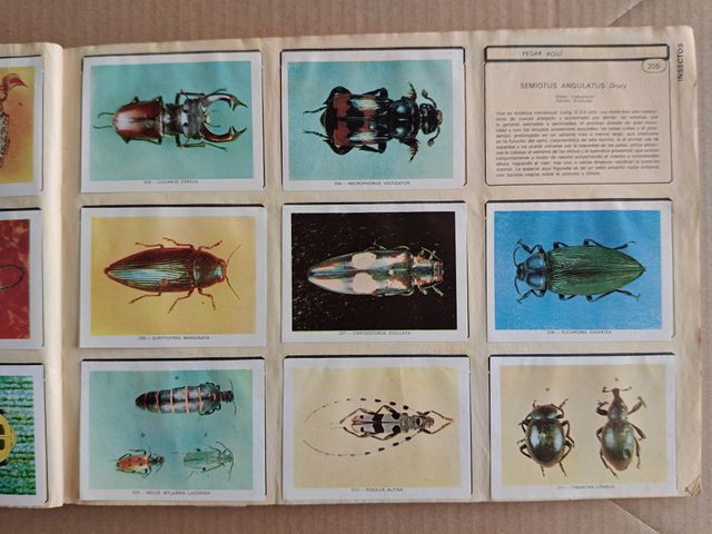 Álbum de cromos GEO CIENCIAS 1971