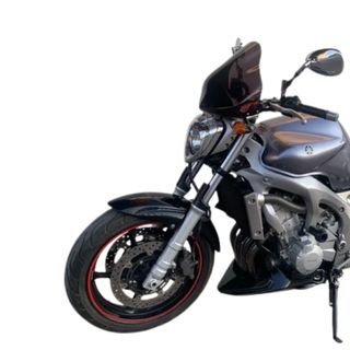 Cúpula Carbono Puig Yamaha FZ6 2004/06