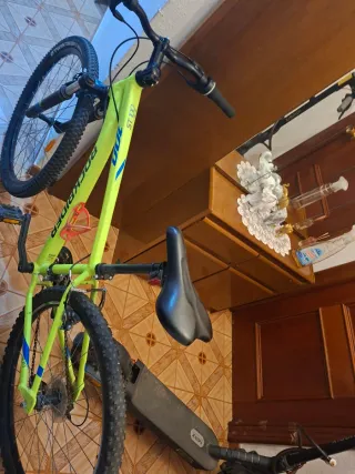 Bicicleta Montañera