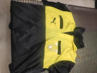Camiseta árbitro Puma bicolor