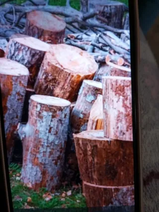 Leña de pino para chimenea