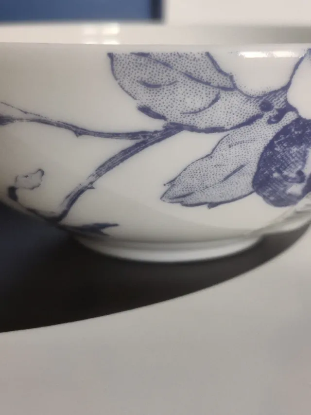 Villeroy & Boch Bone China Bowl
