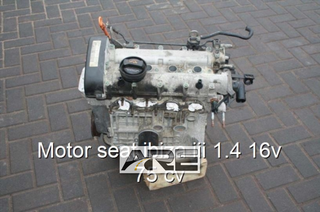 Motor seat ibiza iii 1.4 16v 75 cv.