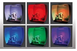 LUCKY REPTILE LB-35W LIFE BOX NANOTERRARIO