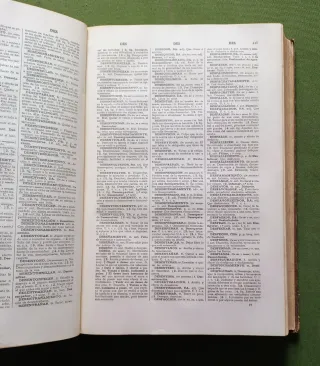 Diccionario de la Real Academia Española - 1925.