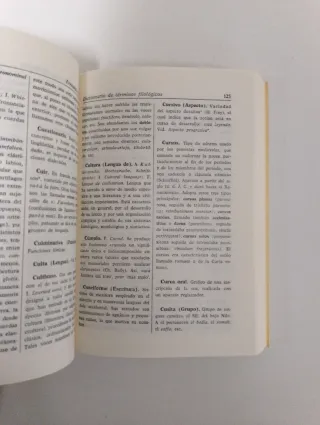 Diccionario términos filológicos