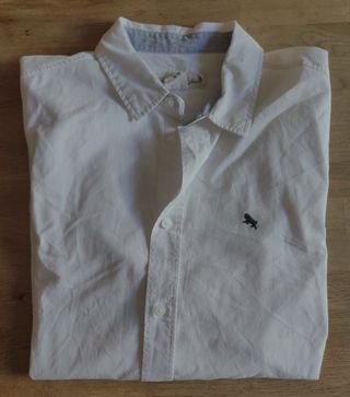 Camicia bianca Hollister cotone logo caprone S