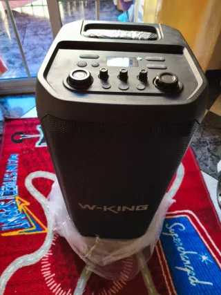 W-KING T12 Altavoz Potente Negro