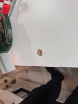 Sierra de Mesa Bosch PTS 10