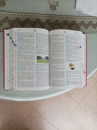 Diccionario Básico Primaria. Lengua española