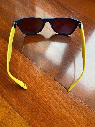 Gafas de sol Mammut azules y verdes