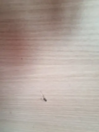 Armario doble madera y metal