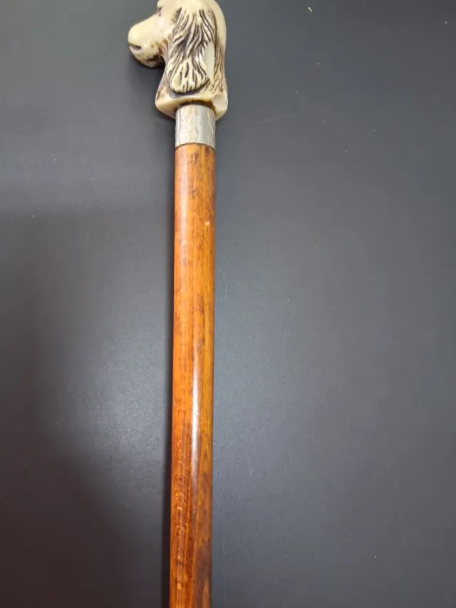 Bastones decorativos con empuñadura de perro y flo