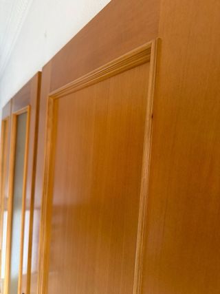 Puerta interior de madera