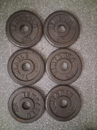 6 Discos de Pesas 1.0 KG