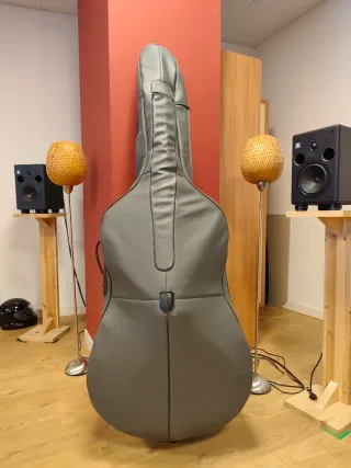 Contrabajo 4/4 con funda