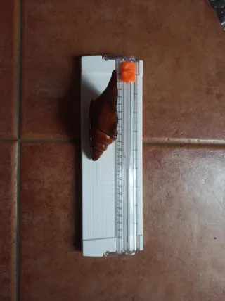 Vaso di cemento con forma di conchiglia