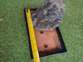 Maceta para bonsái de piedra y terracota