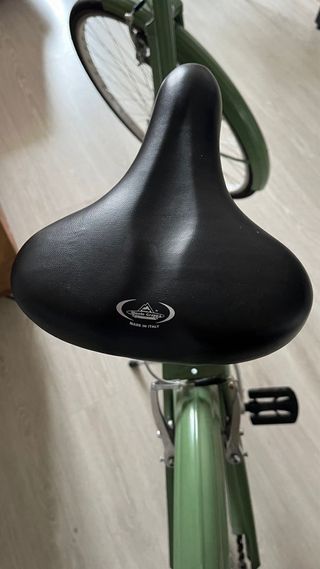 Bicicleta Paseo Capri Verde