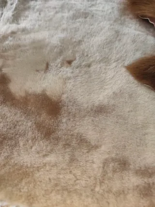 Piel de cabrito natural alfombra o confección