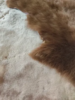 Piel de cabrito natural alfombra o confección