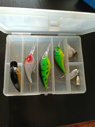 Caja de señuelos de pesca para trucha