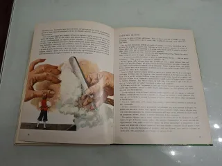 I Viaggi di Gulliver di Jonathan Swift illustrato