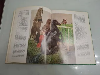 I Viaggi di Gulliver di Jonathan Swift illustrato