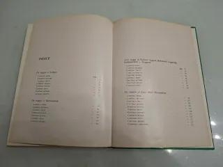 I Viaggi di Gulliver di Jonathan Swift illustrato