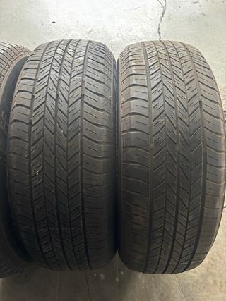 Neumáticos Dunlop 225/65/18 103H