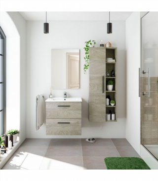 Mueble De Baño Colgante Y Espejo Con Lavabo. Robl