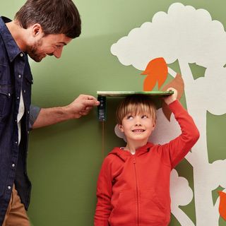 Telémetro láser Bosch Zamo 4ª generación