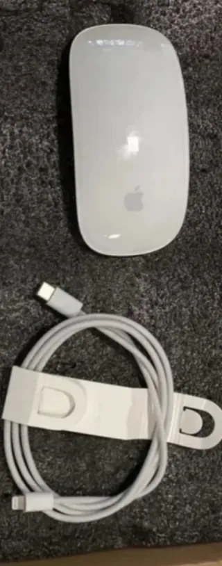 Ratón Apple Inalámbrico + Cable Carga
